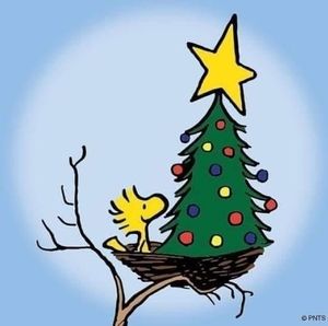 Meet your Posher, Shelly